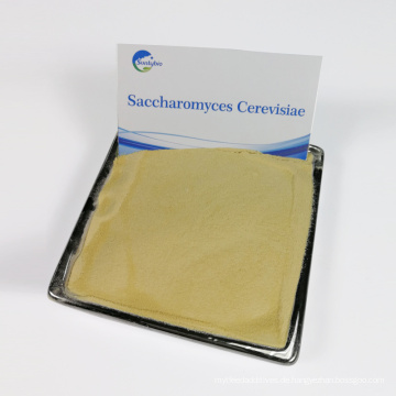 neue Produkte Tierfutterzusatz Saccharomyces cerevisiae